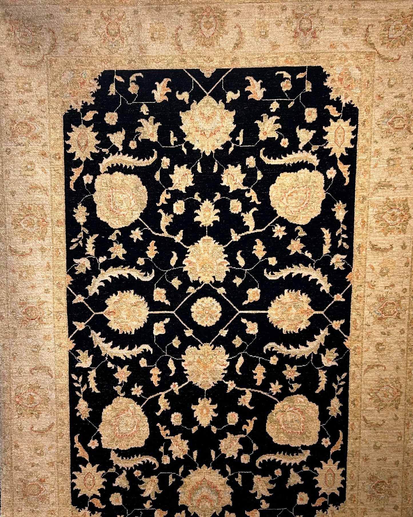 Ziegler Ariana, 301 x 210 cm